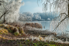 topart_k_2265