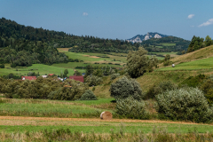 uton_km_6734