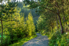 vizpart_k_6616