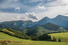 zar_k_6973