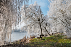 zoldfu_k_2310
