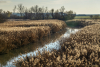 Hortobagy_k_7948