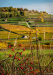 bogyok_k_7569