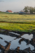 dagonya_k_7286