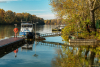 delfin_k_7305