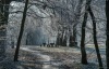 erdo_k_2035