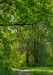 erdo_k_4011
