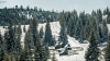 fenyok_k_3095