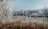 gyekeny_v_2243