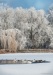 hattyuk__k_1952_2