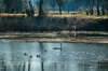 hattyuk_k_2501