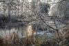 hid_k_2172