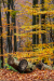 kidolve_k_7347
