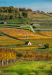 kishaz_k_7573