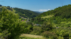 latkep_k_5604