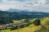 nagyharsas_k_6773