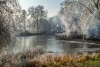 obol_k_2212