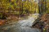 patak_k_7789