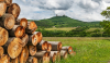 regeci_k_4545