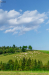 tehen_k_6556