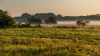 tehenek_k_5947