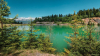 topart_k_4977