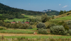 uton_km_6734
