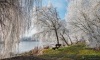 zoldfu_k_2310