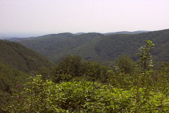 20009 20009