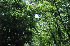 Sony Mavica FD71